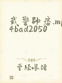 武警帅痞.mp4bad2050
