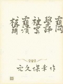 校霸被学霸玩到崩溃云译网