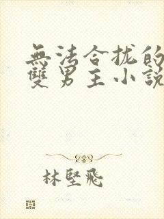 无法合拢的总裁双男主小说