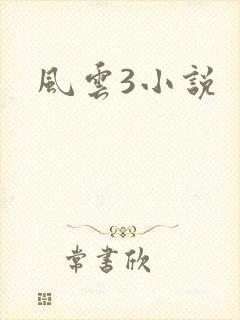 风云3小说