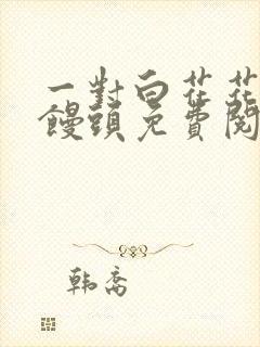 一对白花花的大馒头免费阅读