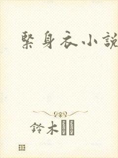 紧身衣小说