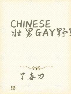 CHINESE壮男GAY野战强迫TUBE