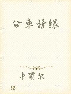 公车情缘