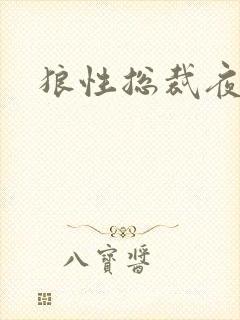 狼性总裁夜欢宠