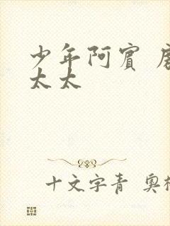 少年阿宾 房东太太