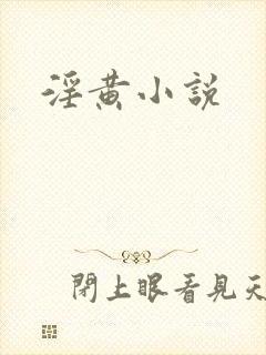 淫黄小说
