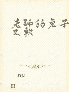 老师的兔子又大又软