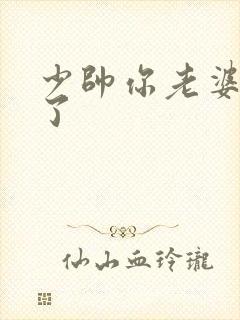 少帅你老婆又跑了