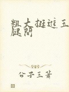 粗大挺进玉芬双腿间