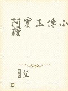 阿宾正传小说在读