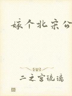 嫁个北宋公务员