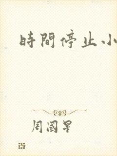时间停止小说