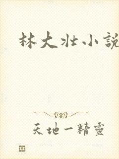 林大壮小说阅读