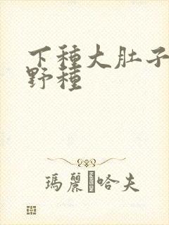 下种大肚子怀孕野种