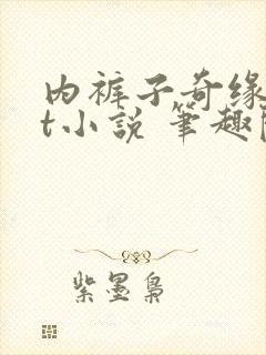 内裤子奇缘txt小说 笔趣阁