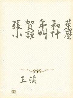 张贺年和叶繁姿小说叫什么名字