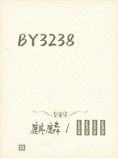 BY3238