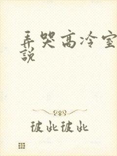 弄哭高冷室友小说