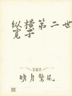 纵横第二世界 宽子