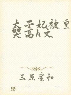 太子妃被皇上c哭高h文