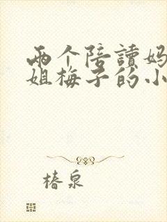 两个陪读妈妈赵姐梅子的小说