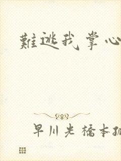 难逃我掌心