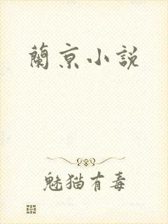 兰京小说
