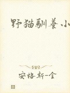 野猫驯养小说