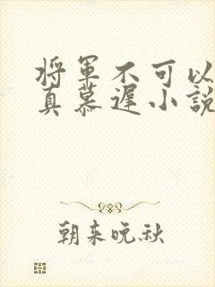 将军不可以魏云真慕迟小说笔趣阁