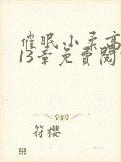 催眠小柔高达第13章免费阅读