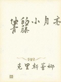 他的小月亮by青藤