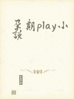 孕期play小说