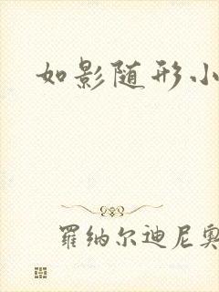 如影随形小说