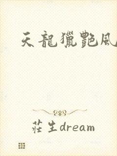 天龙猎艳风流