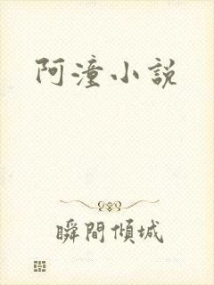 阿潼小说