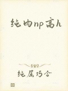 纯肉np高h