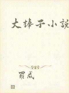 大棒子小说