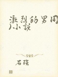 激烈的男同(h)小说