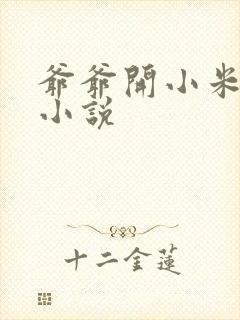 爷爷开小米的包小说