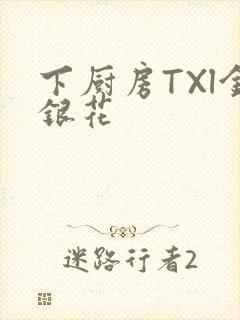 下厨房TXl金银花