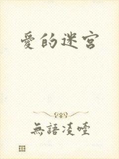 爱的迷宫
