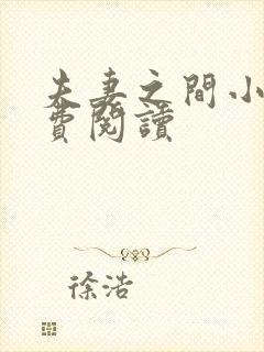 夫妻之间小说免费阅读