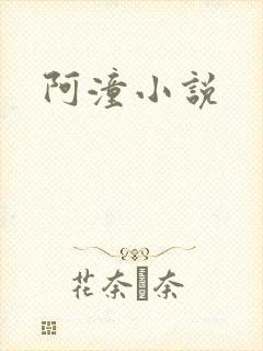 阿潼小说