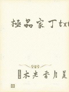 极品家丁txt