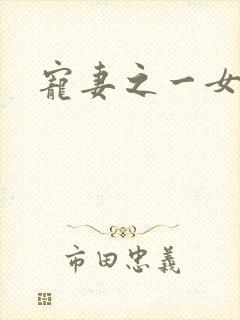 宠妻之一女二夫