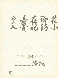 皇帝在御花园进入贵妃的小说