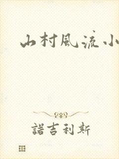 山村风流小说