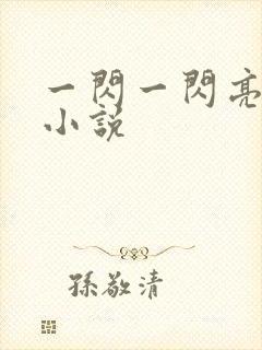 一闪一闪亮星星小说