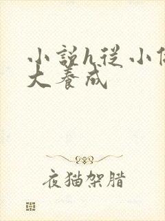 小说h从小做到大养成